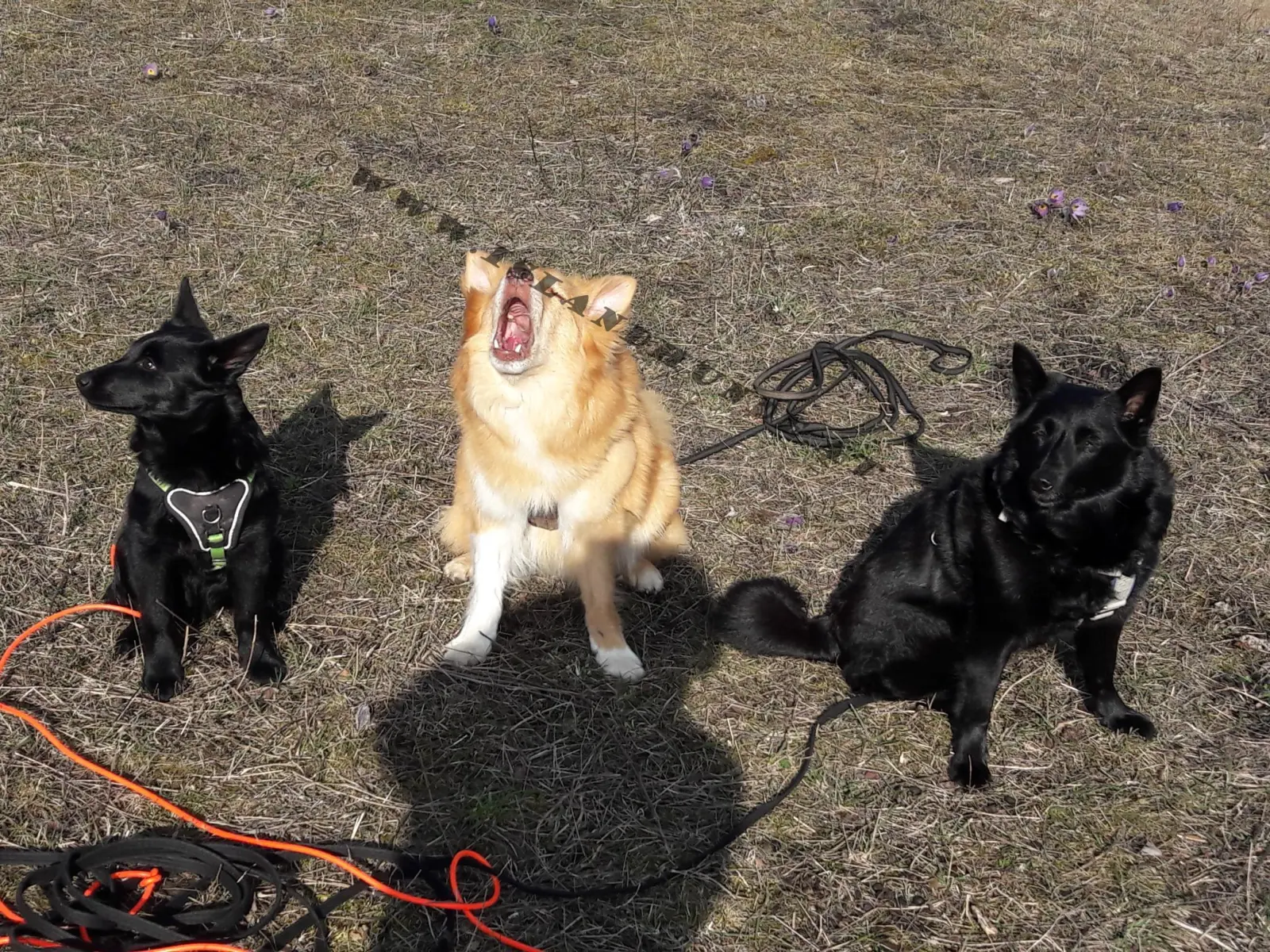 20200307_090358